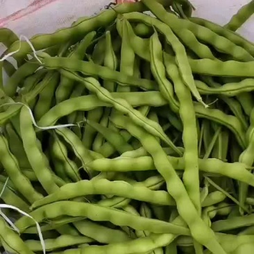 精品棒豆
