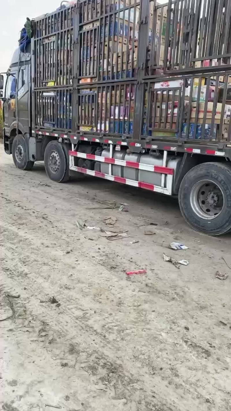 地瓜