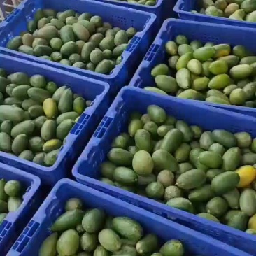 柠檬