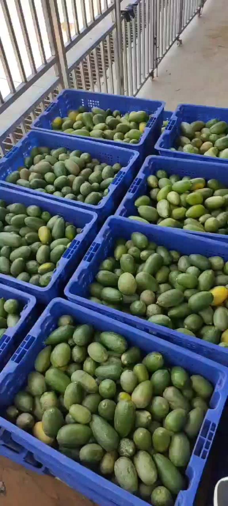 柠檬