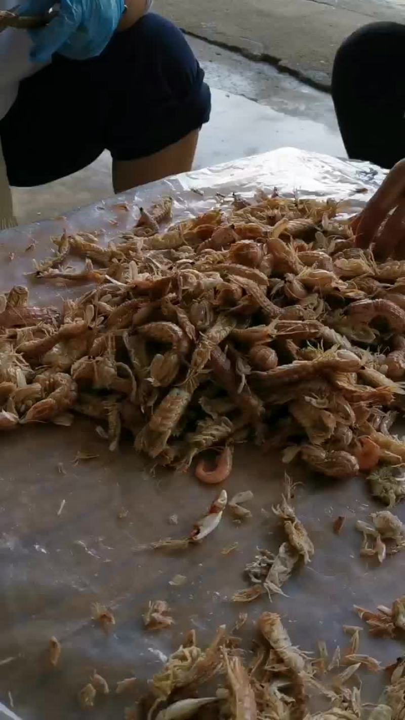 滨州市沾化区海陆丰水产品有限公司厂家发货渤海夹虾，