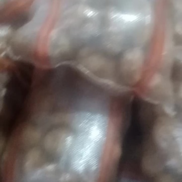 土豆