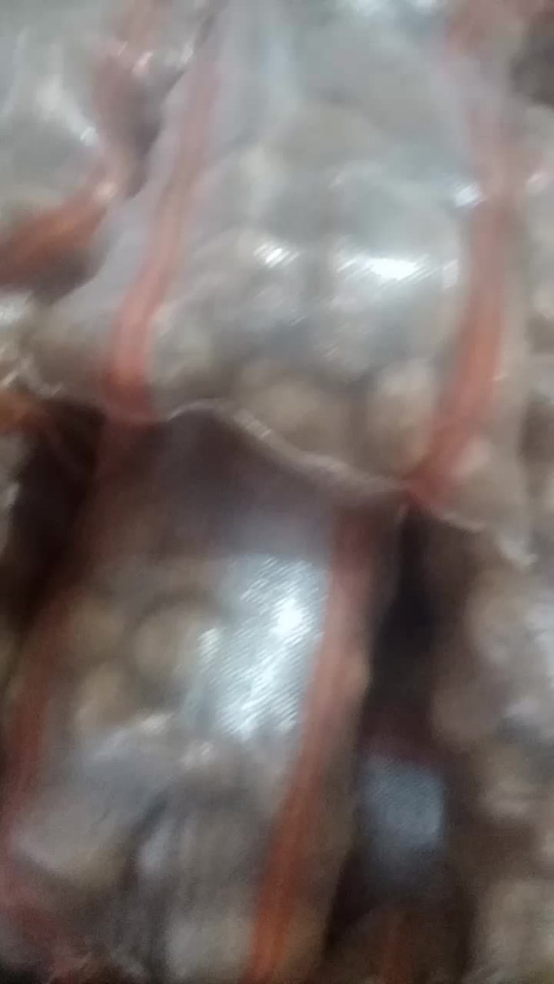 土豆