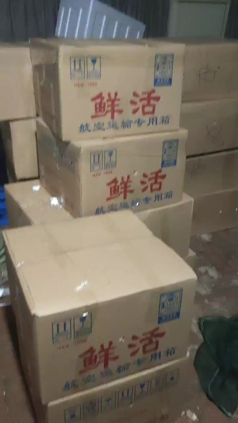 山东大闸蟹基地直供
