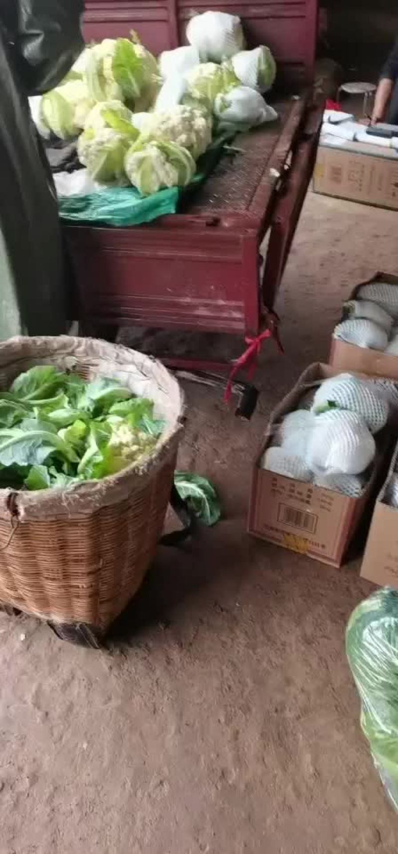花菜