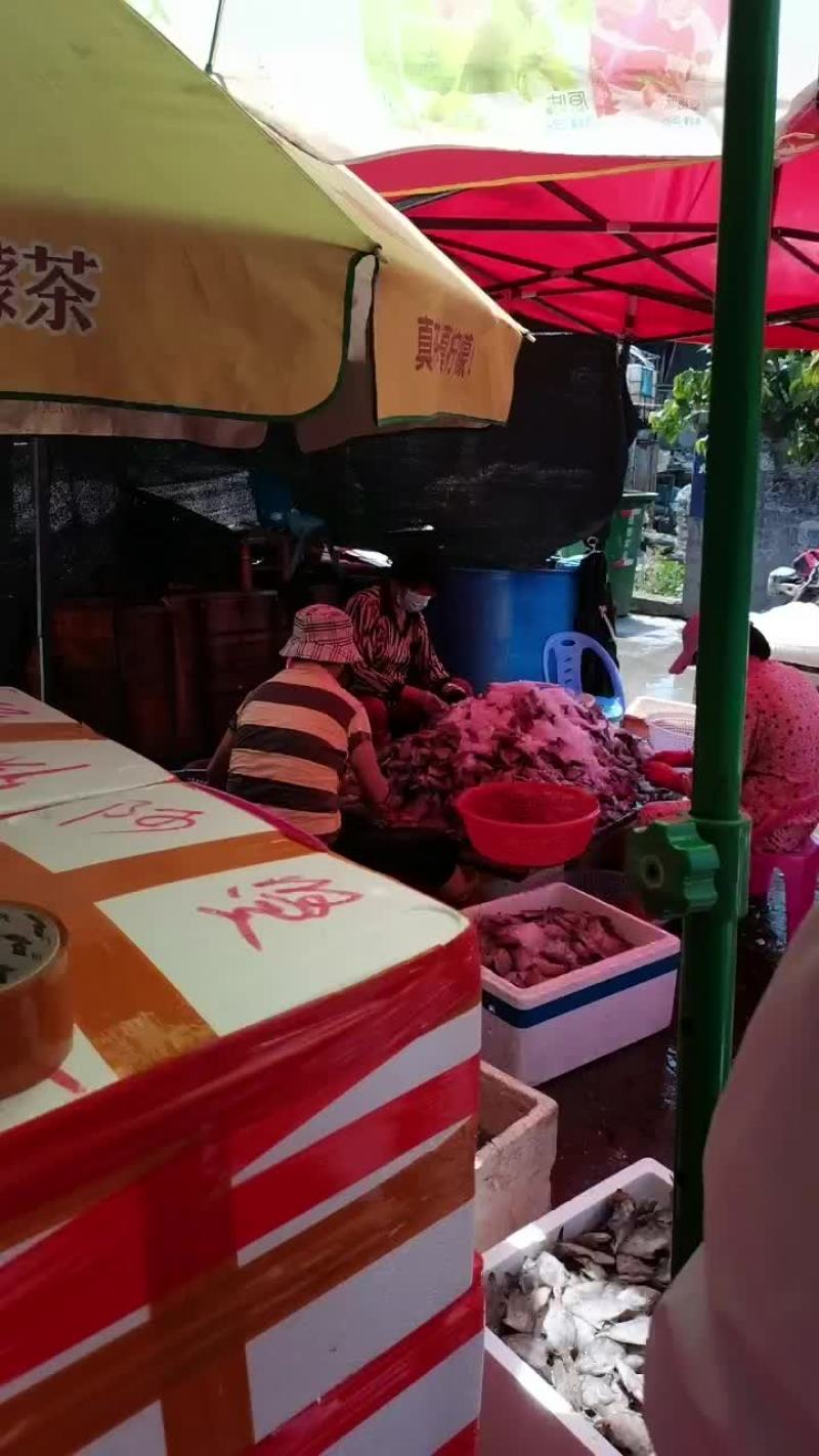 冰鲜扒皮鱼内港鱼