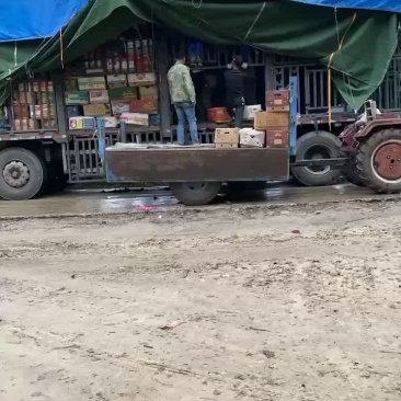 地瓜