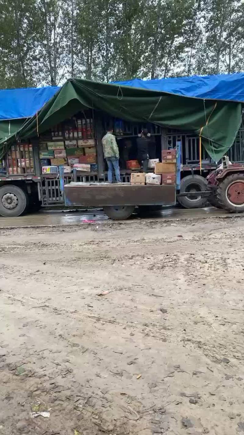 地瓜