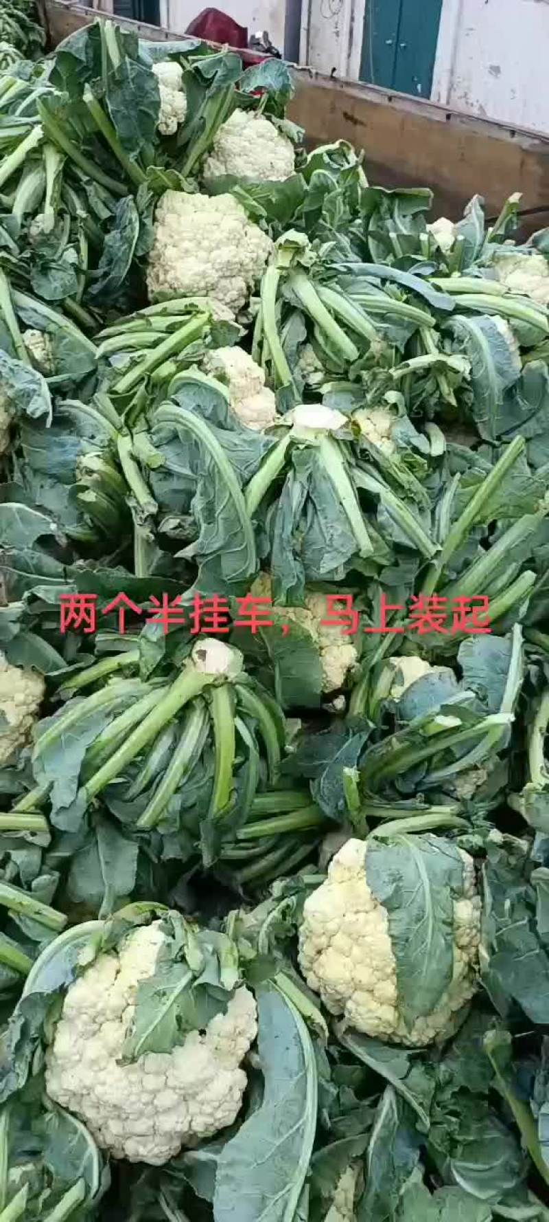 中国河北邯郸，丛台区南大堡蔬菜市场物流园