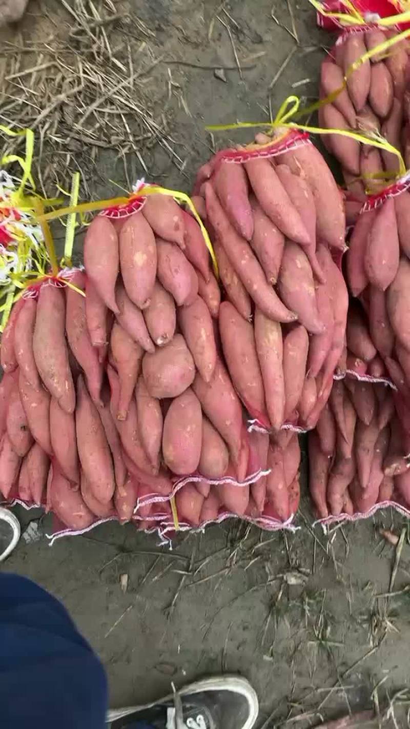 河北雄县红署