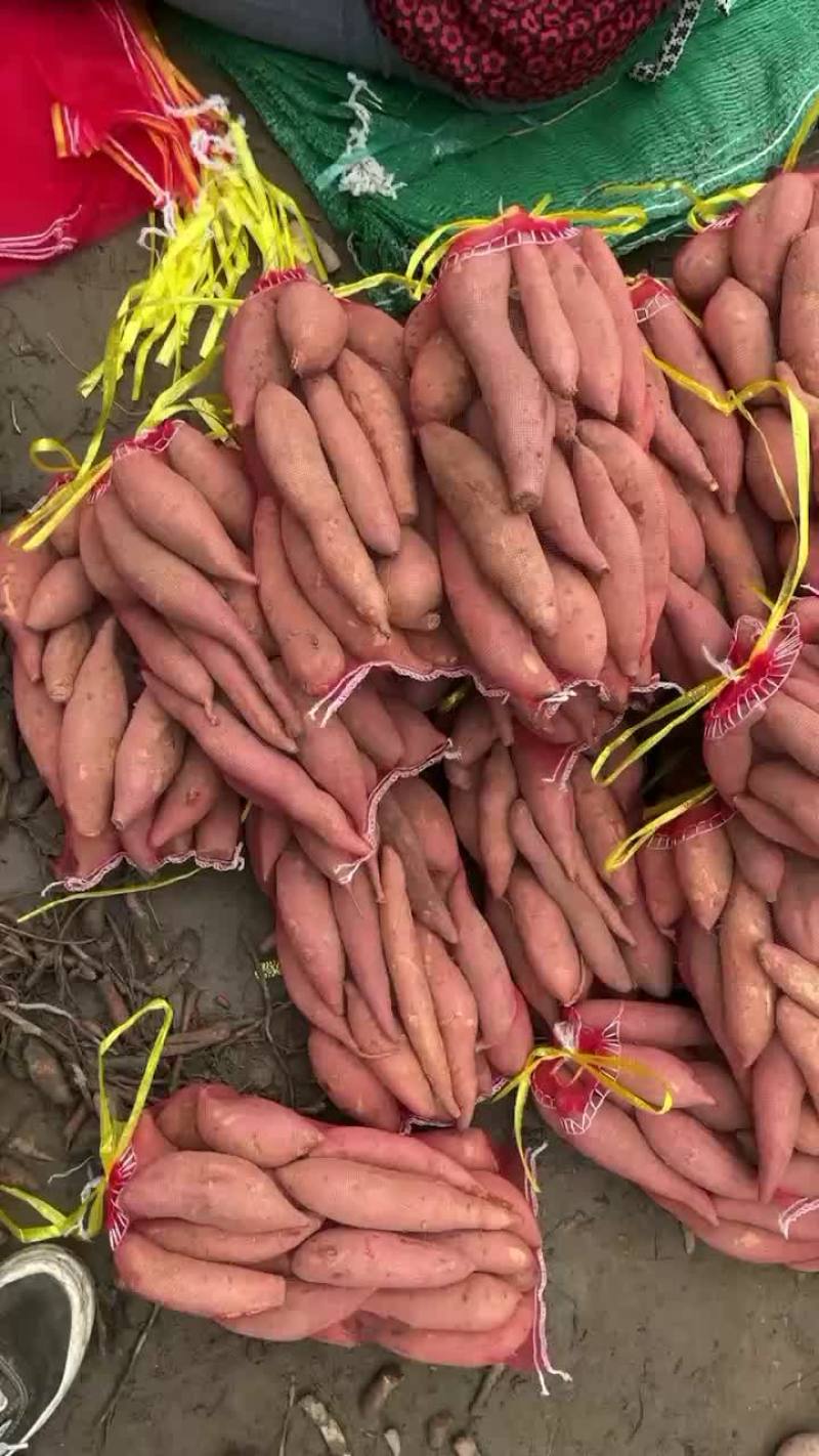 河北雄县红署