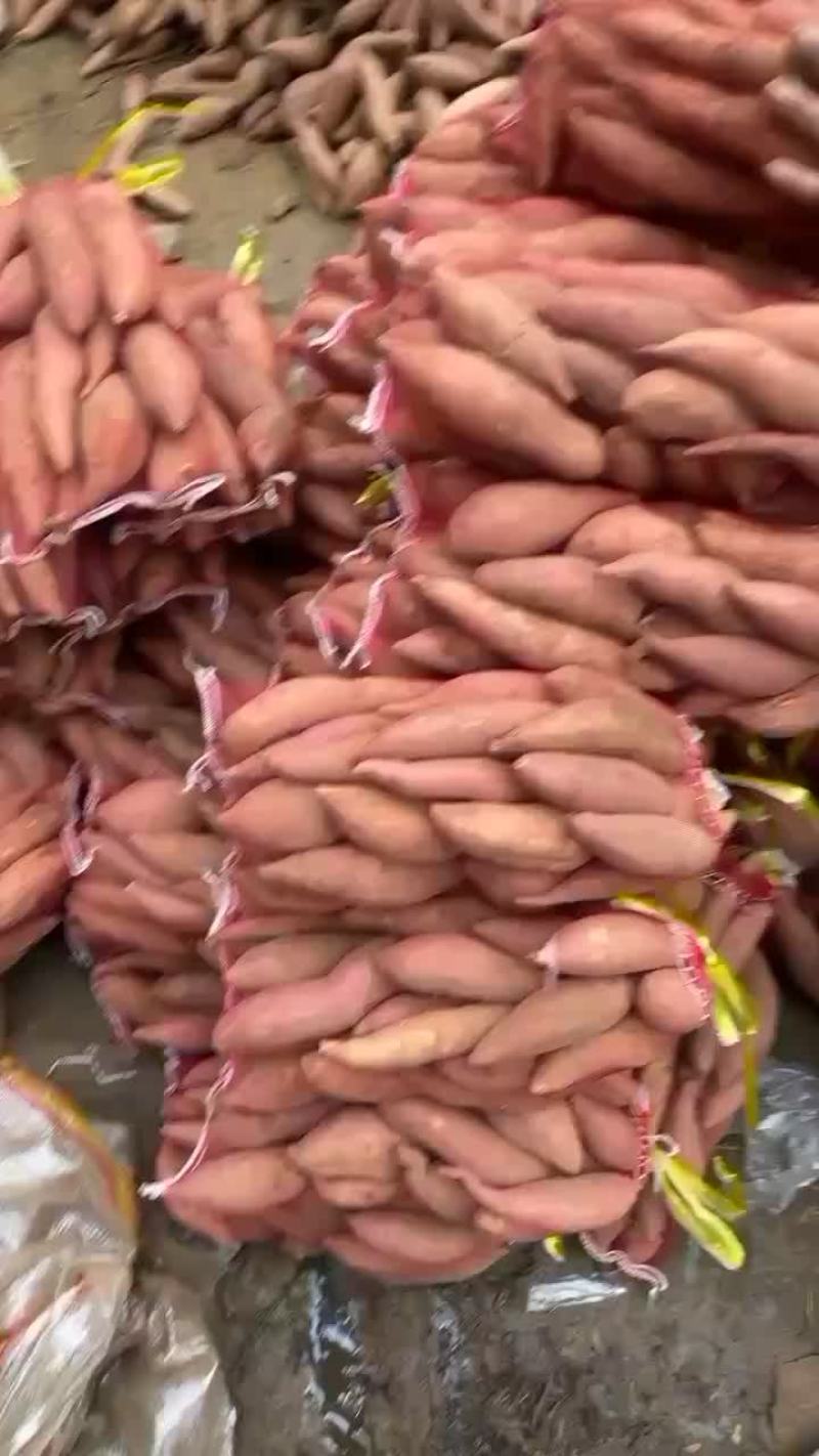 河北雄县红署