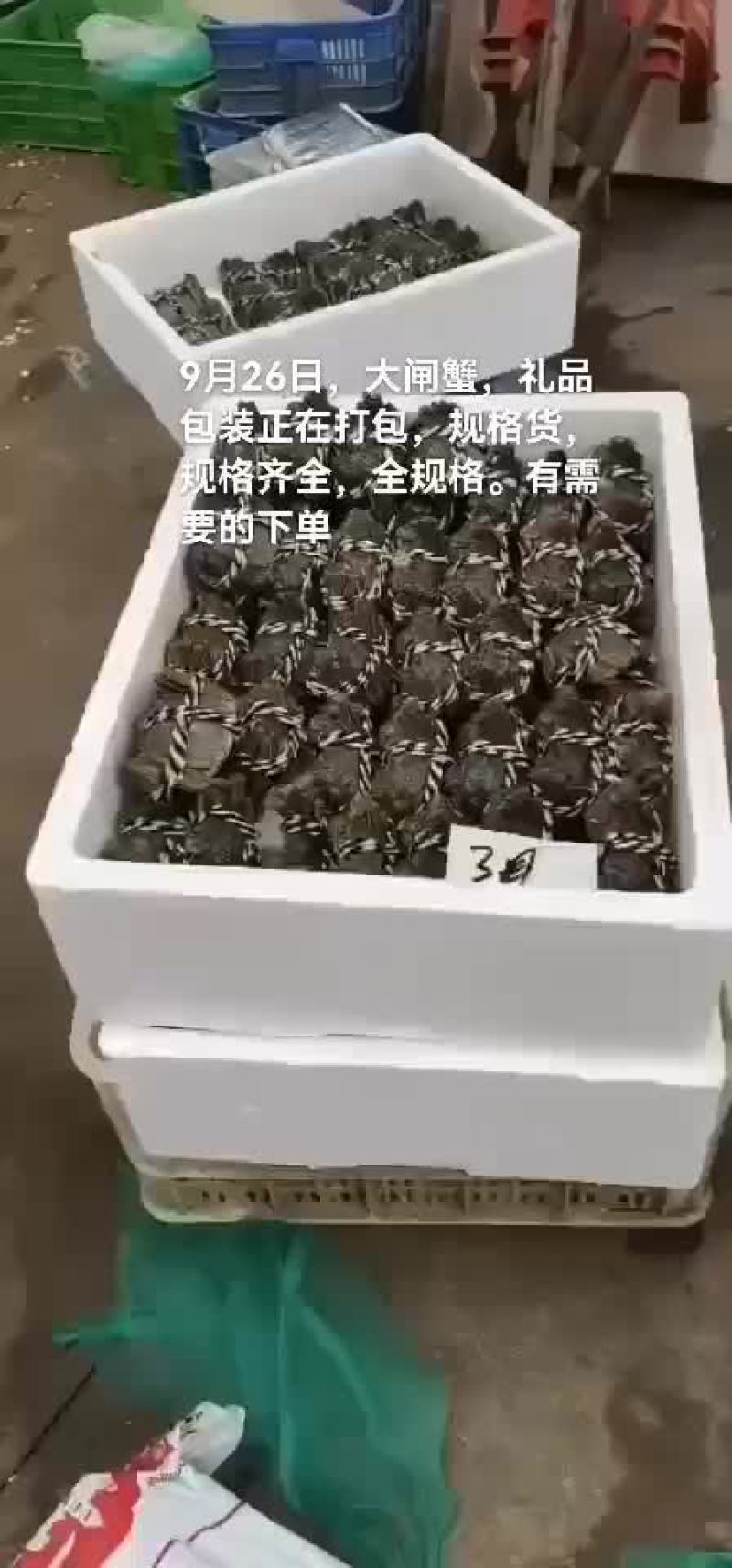 大闸蟹