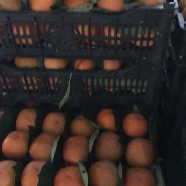 甜心柿