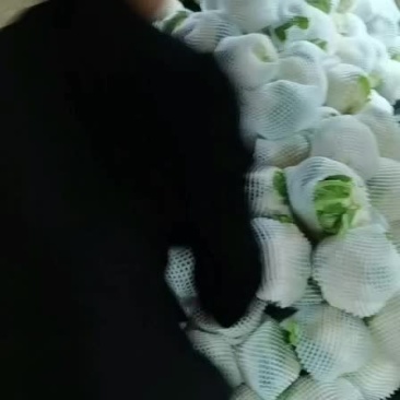 花菜