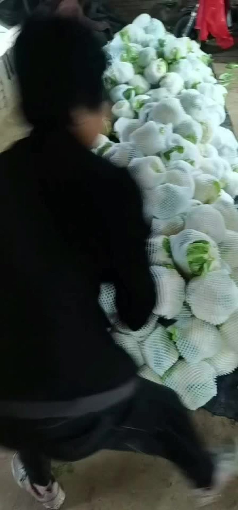 花菜