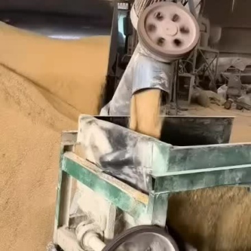 碎豆瓣