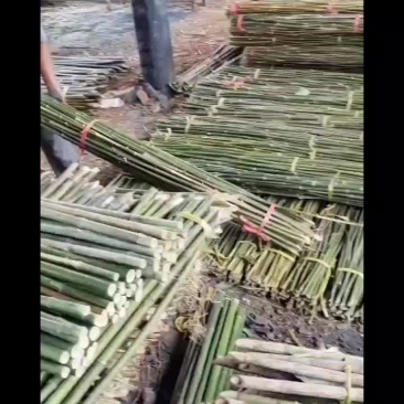 瓜果蔬菜竹竿批发本人常年供应湖南当地各种竹子