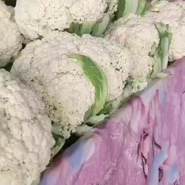 蔬菜