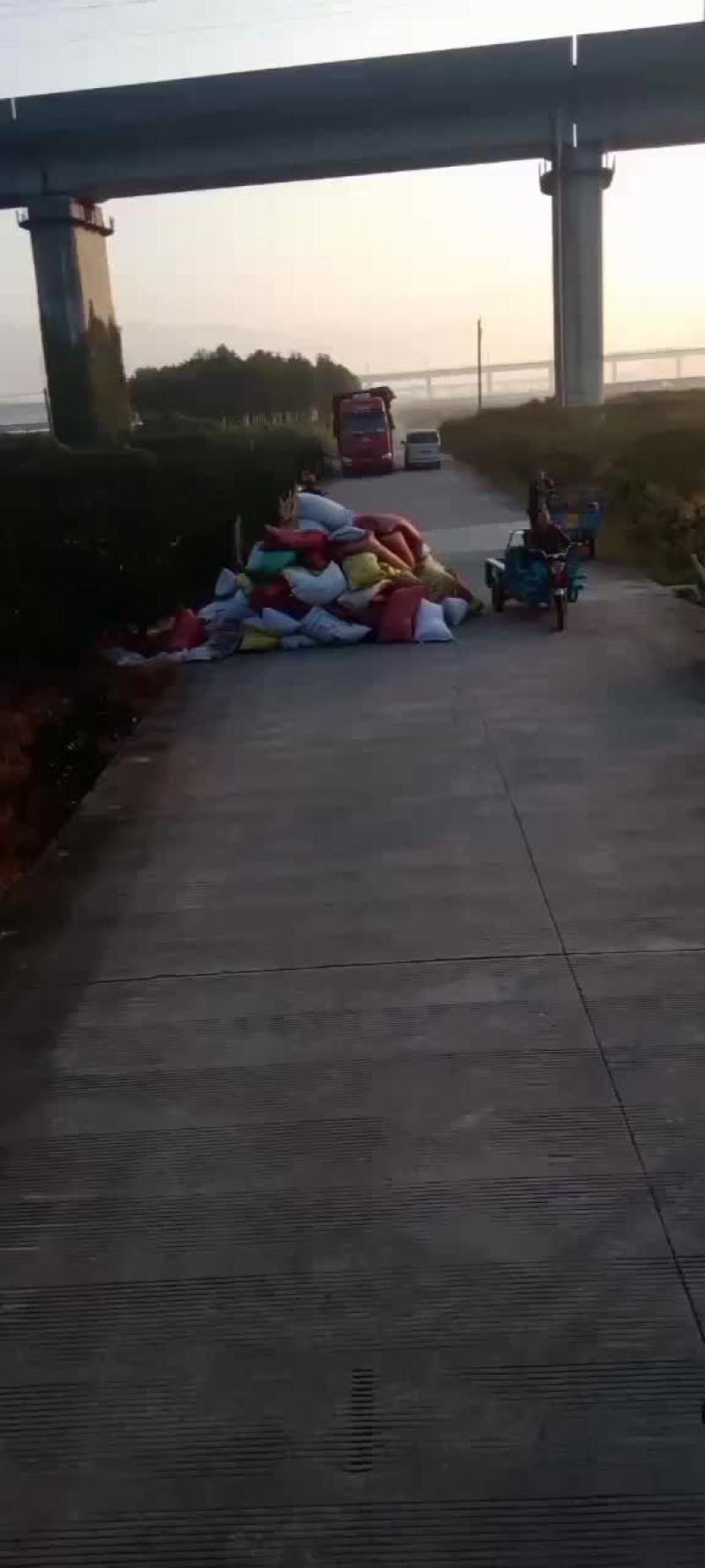 羊粪颗粒蛋蛋