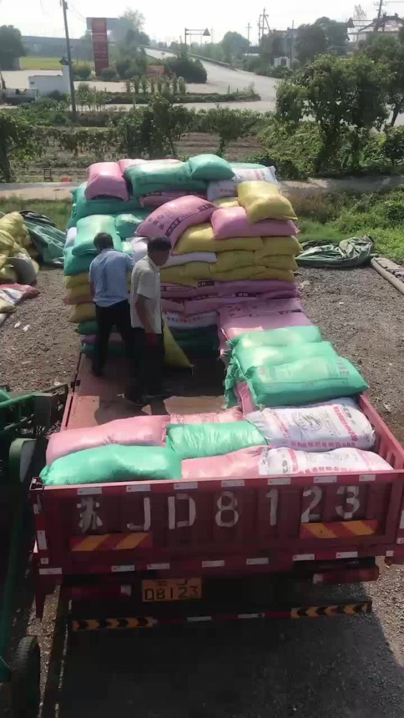 羊粪颗粒蛋蛋