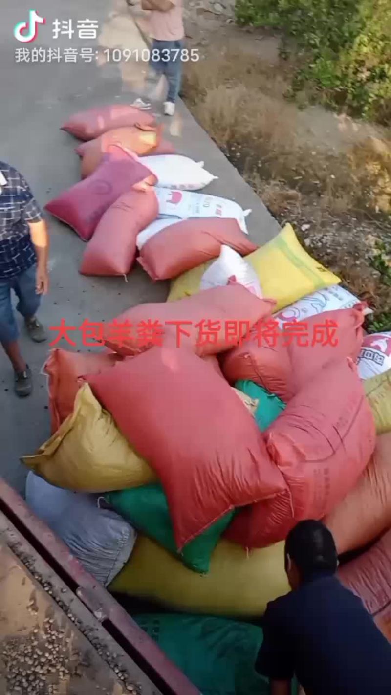 羊粪颗粒蛋蛋
