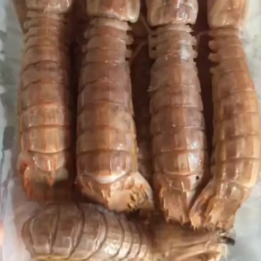 熟冻皮皮虾