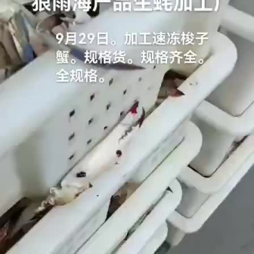 梭子蟹
