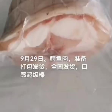 鳄鱼肉