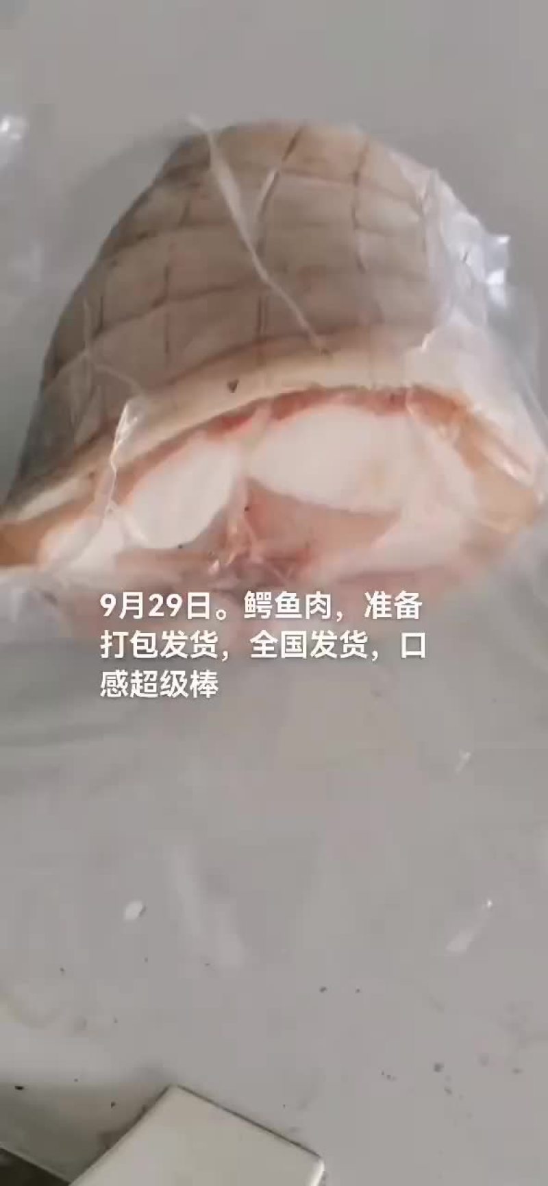 鳄鱼肉