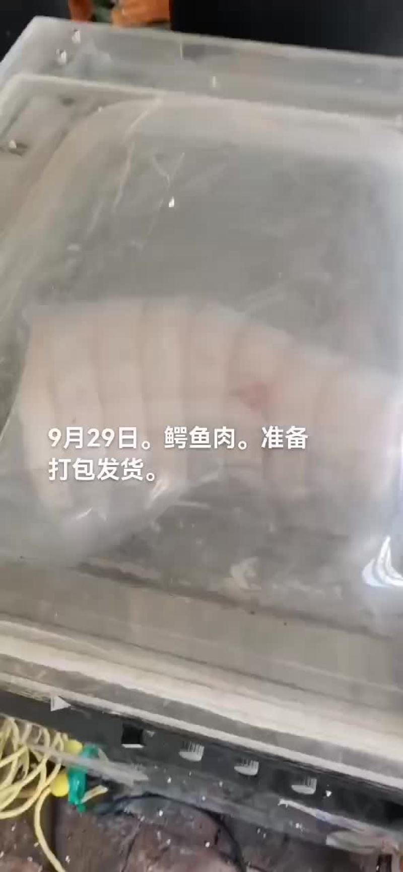 鳄鱼肉