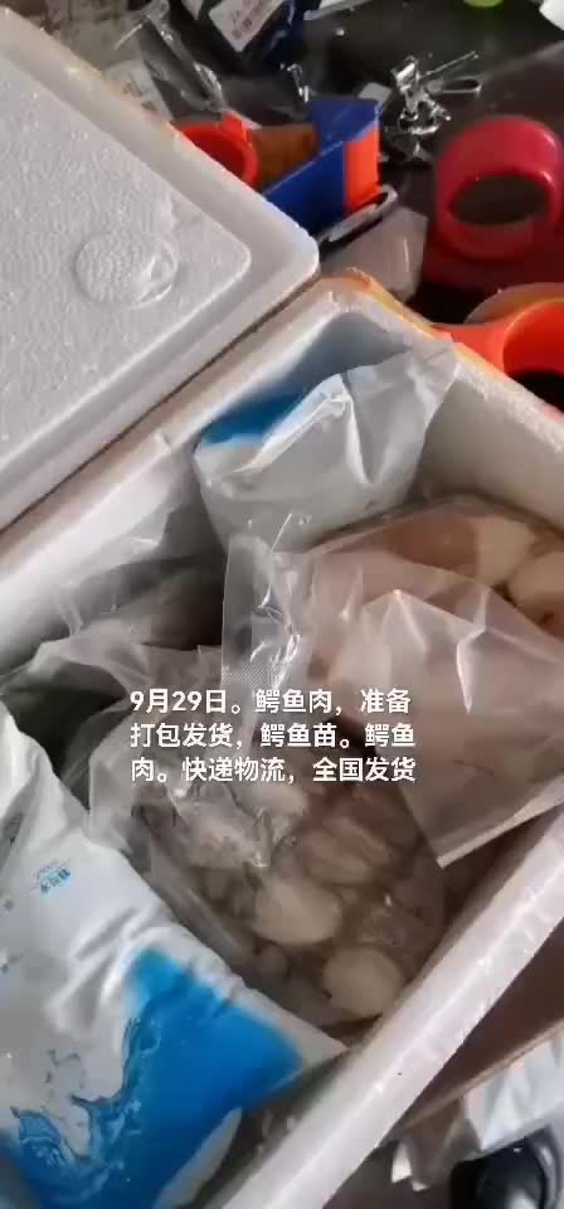 鳄鱼肉