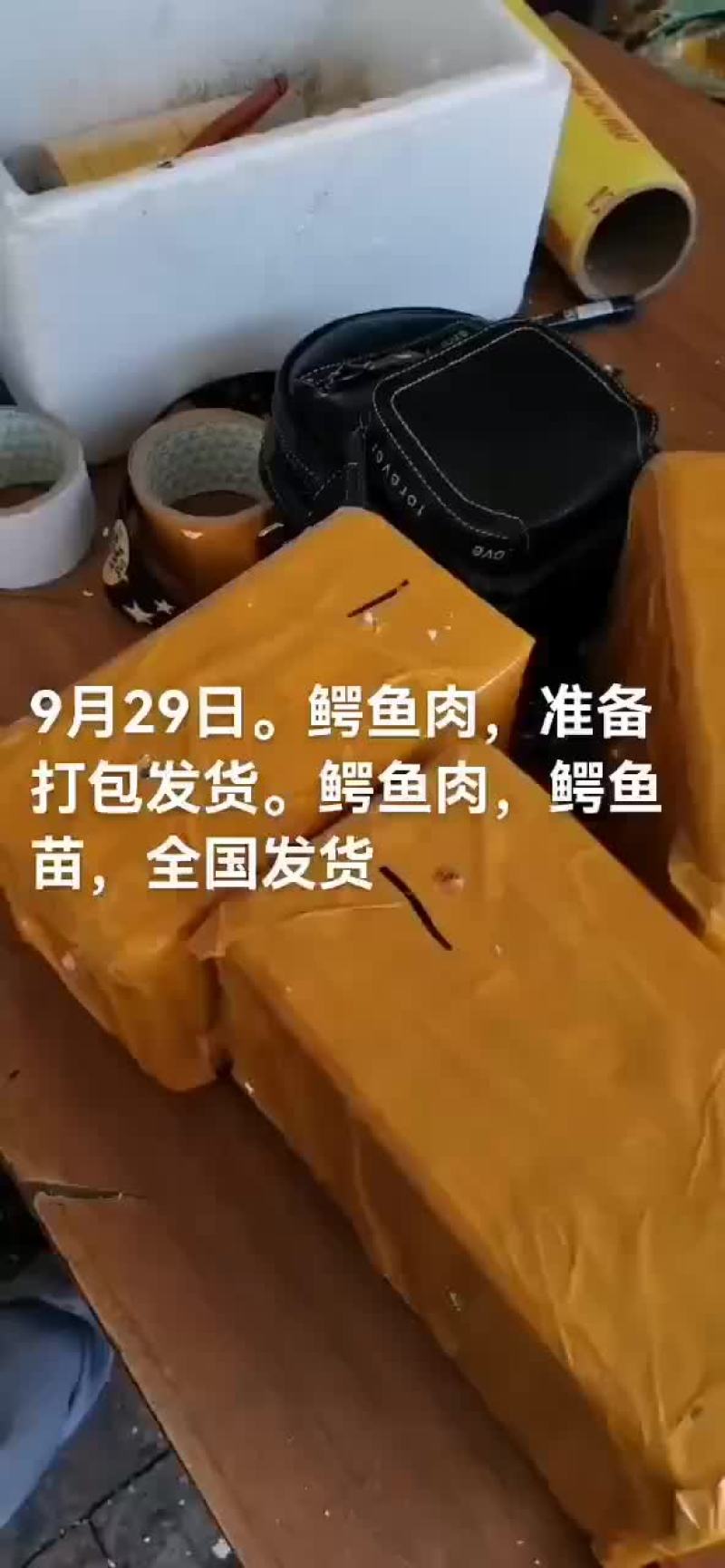 鳄鱼肉