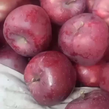 苹果