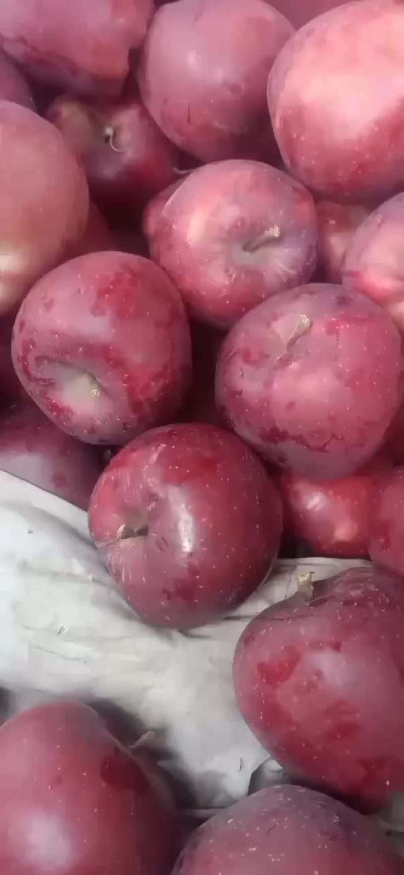 苹果