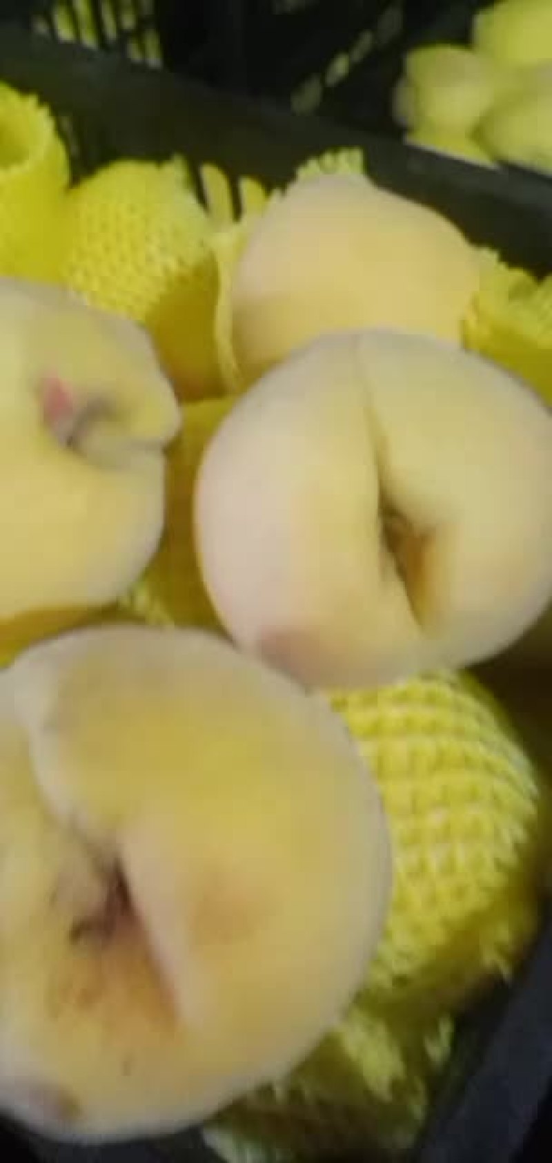 黄桃，巨黄金