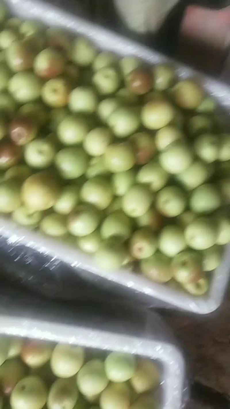 正宗沾化冬枣，又甜又脆好吃不贵！