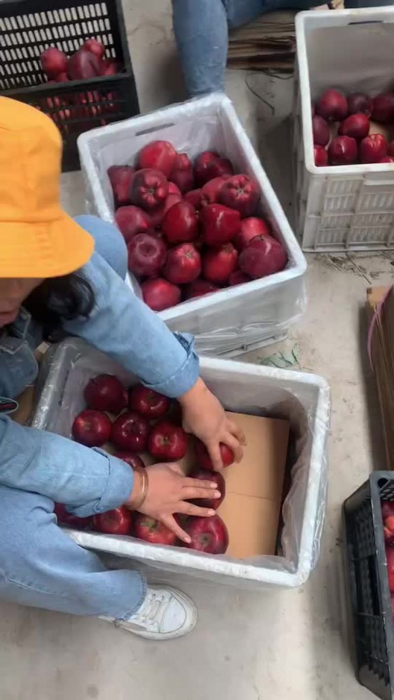 花牛