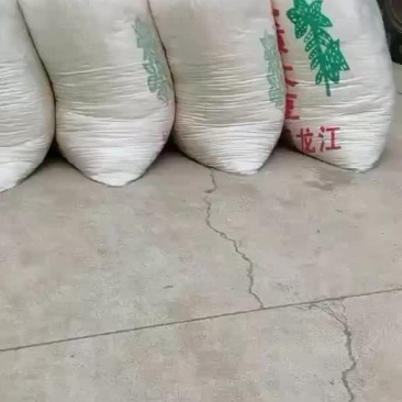 长期出售脱水豆渣