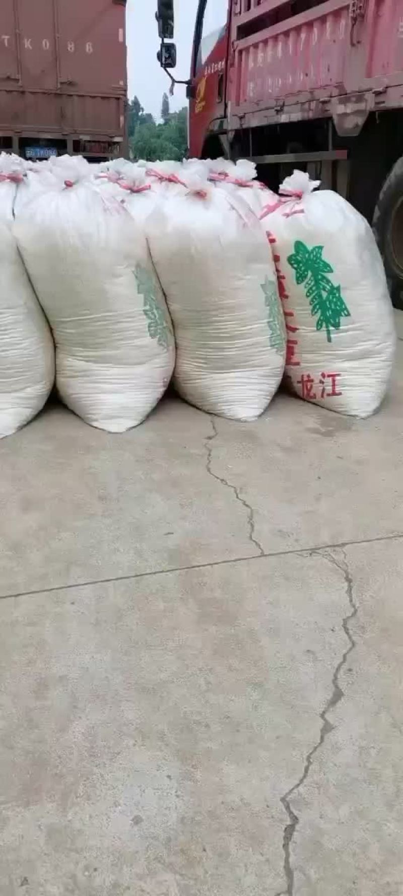 长期出售脱水豆渣