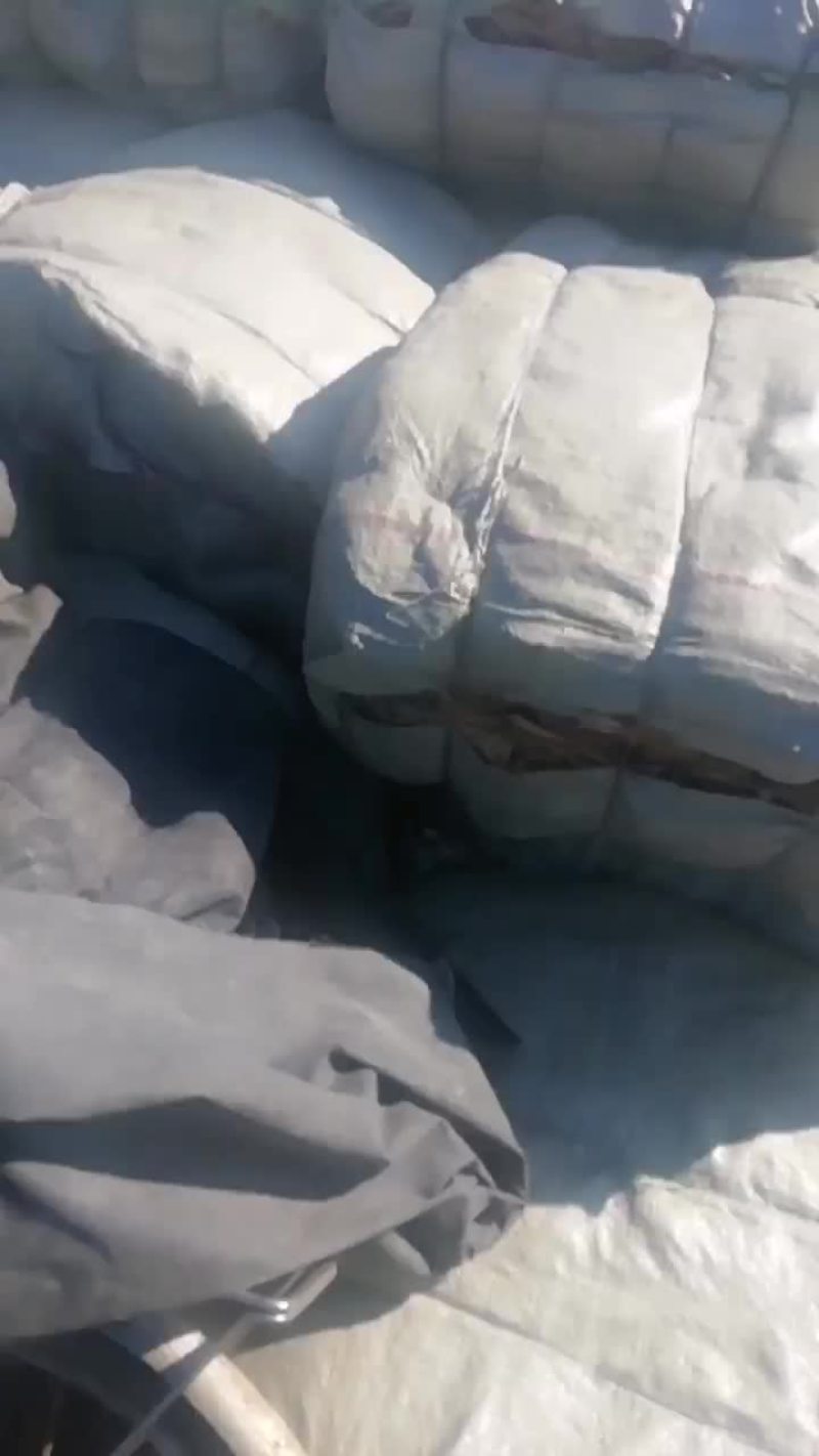 自己采摘质量保证的干荷叶中乔绿化