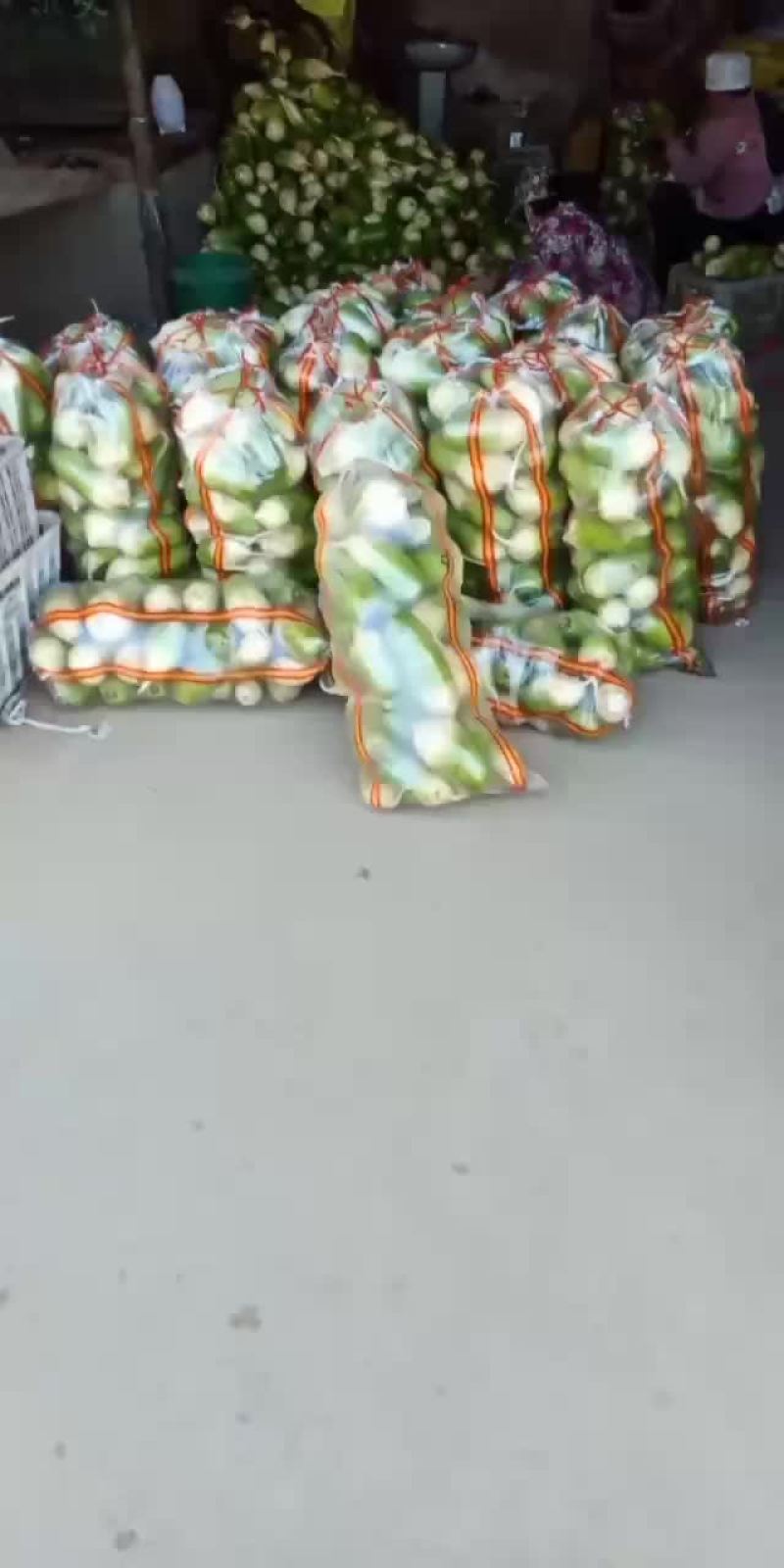 水果青罗卜