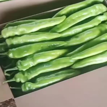 尖椒