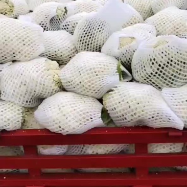 菜花