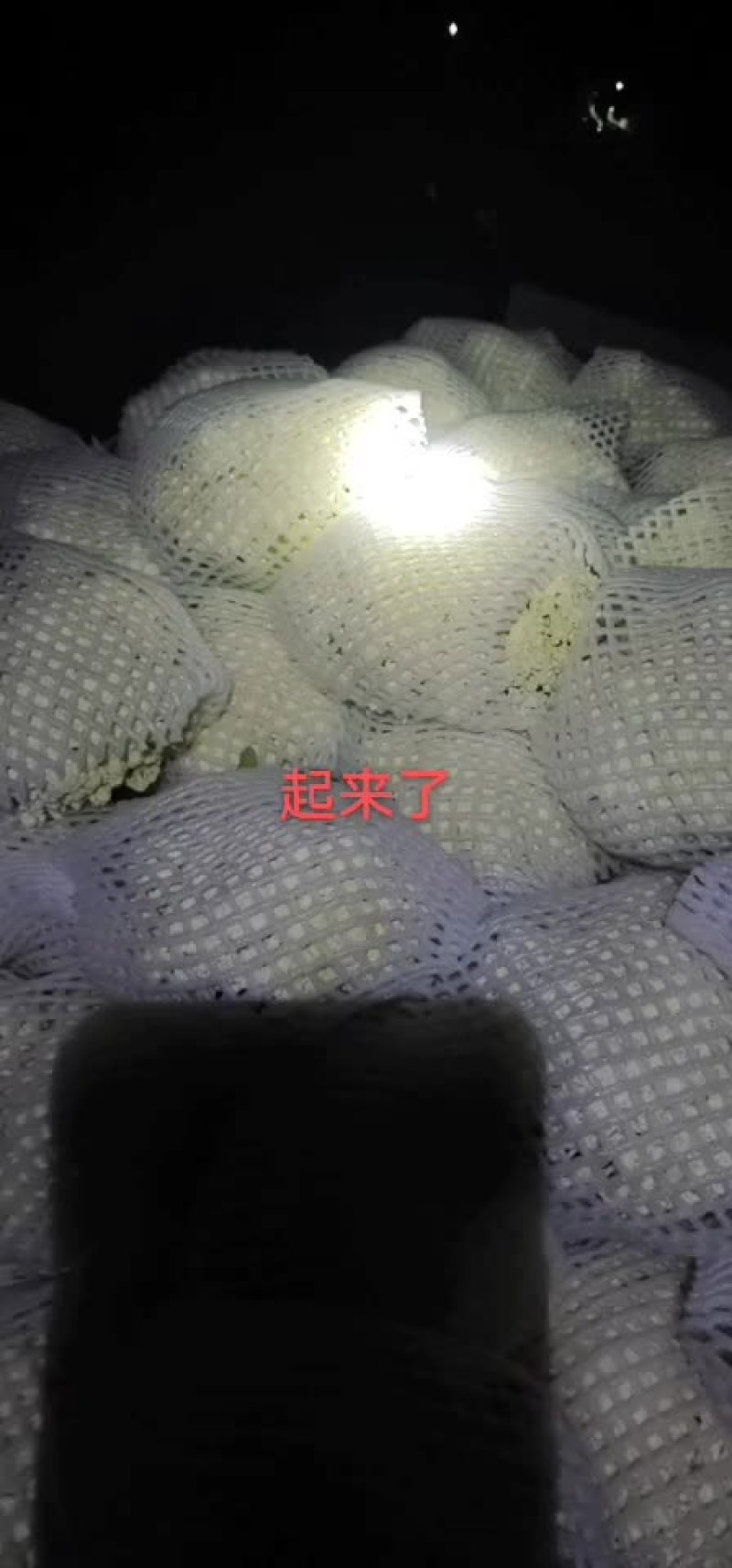 菜花