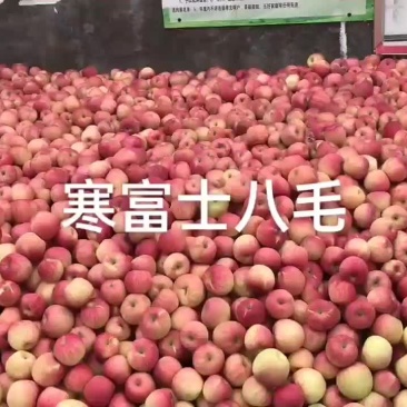 寒富士