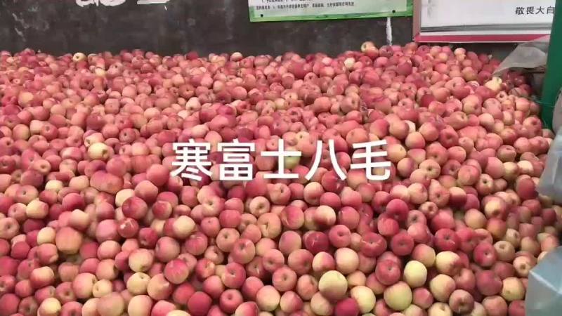 寒富士