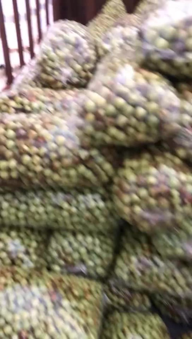 冬枣便宜了
