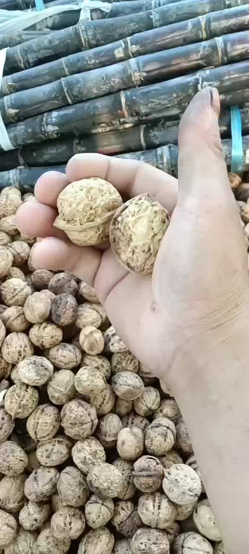 云南麻皮核桃，核桃仁