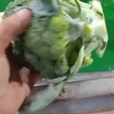西兰花